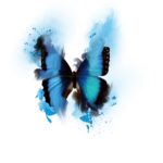 Watercolor Butterfly 1