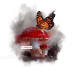 Butterfly and Mushroom
