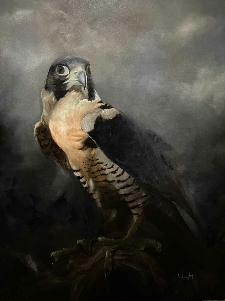 Peregrin Falcon Oil Painting Portrait